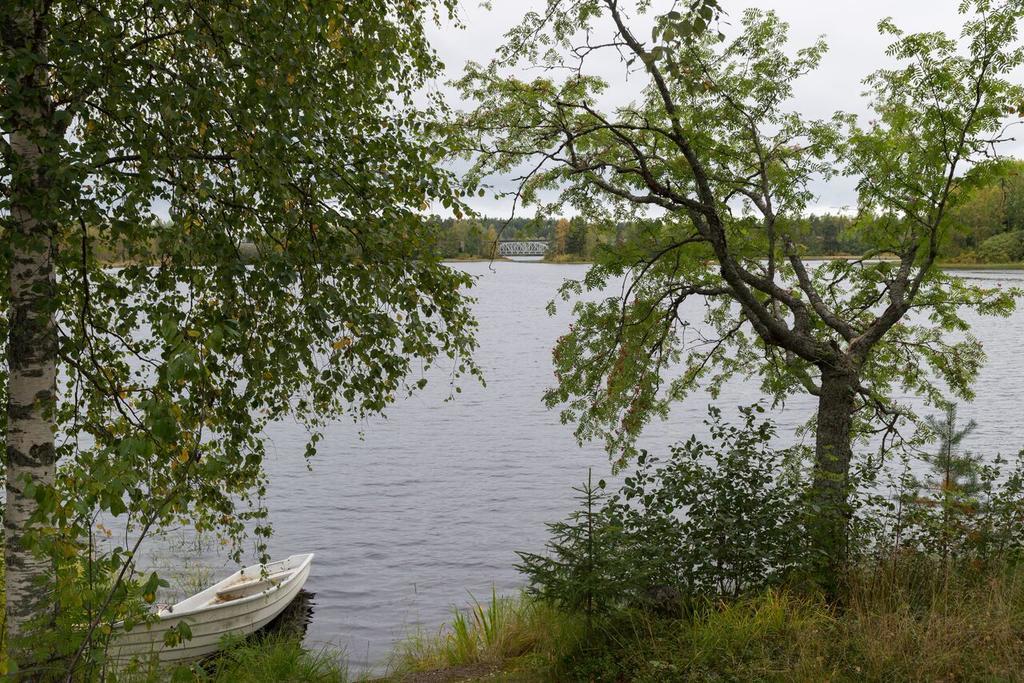 Lemettilae Countryside Accommodation Petajavesi Exterior photo